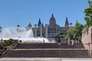 Barcelona: Privat byrundvisning