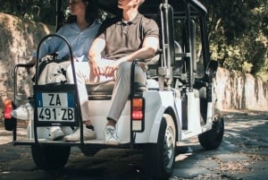 Barcelona: Privat golfbil-tur med guide