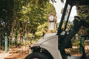 Barcelona: Privat golfbil-tur med guide