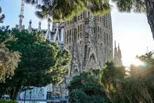 Barcelona: Privat golfbil-tur med guide
