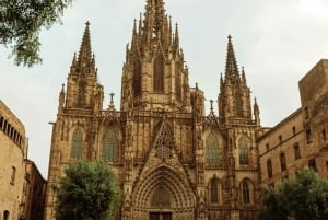 Barcelona: Privat golfbil-tur med guide