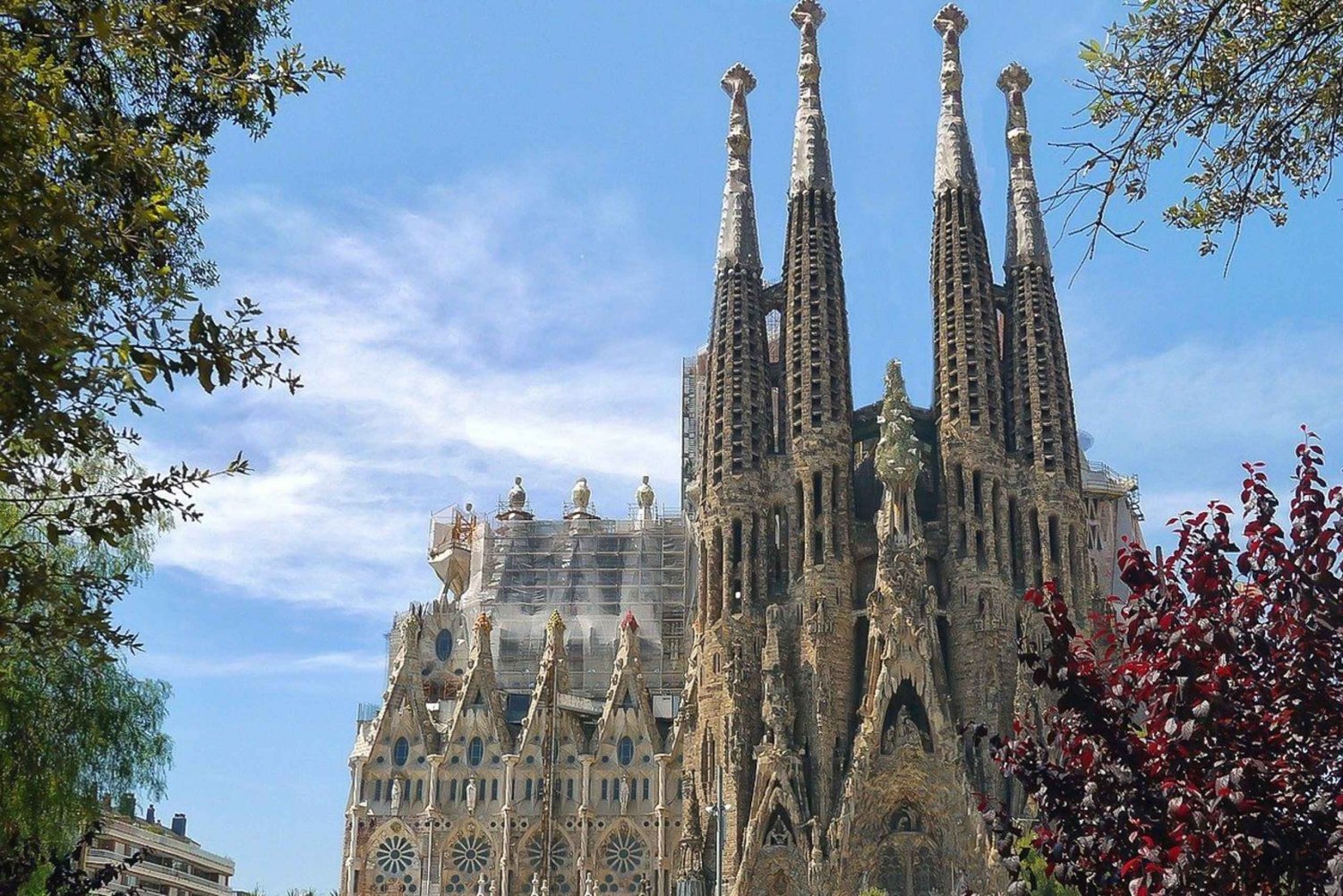Barcellona: Tour privato di mezza giornata con visita guidata da un abitante del luogo
