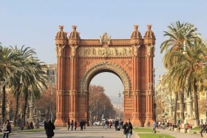 Barcelona: Privat halvdagsutflykt med lokal guide