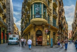Barcelona: Privat halvdagsutflykt med lokal guide