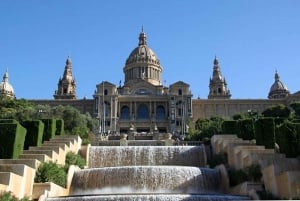 Barcelona: Privat halvdagsutflykt med lokal guide
