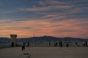 Barcelona: Privat halvdagsutflykt med lokal guide