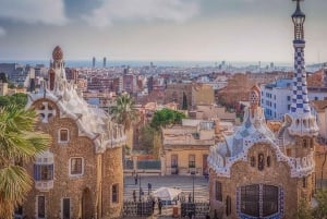 Barcelona: Privat halvdagsutflykt med lokal guide