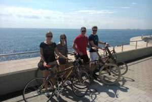 Barcelona: Private Highlights Tour by Bamboo Bicycle