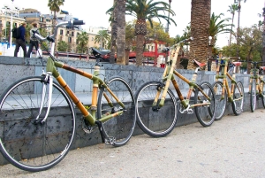Barcelona: Private Highlights Tour by Bamboo Bicycle