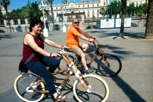 Barcelona: Private Highlights Tour by Bamboo Bicycle