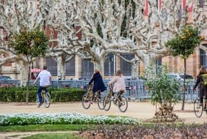 Barcelona: Private Highlights Tour by Bamboo Bicycle