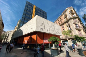 Barcelona: Experiencia Picasso privada