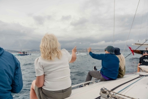 Barcelona: aula particular de vela no Mediterrâneo