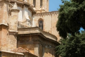 Barcelona: Excursión privada de un día a Tarragona con guía y tiempo libre