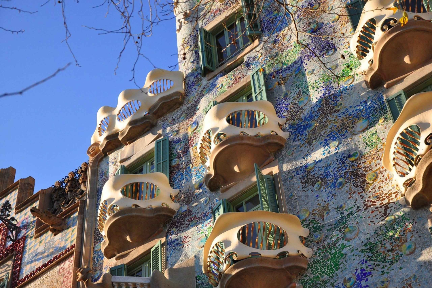 Barcelona: Casa Batllon yksityinen kiertoajelu, johon on varattu sisäänpääsy