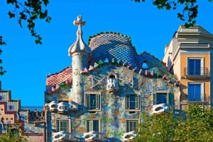 Barcelona: Casa Batllon yksityinen kiertoajelu, johon on varattu sisäänpääsy
