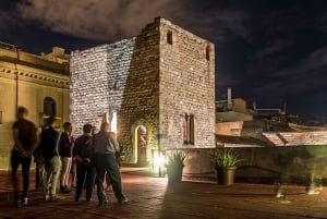 Barcelona: Requesens Palace Dinner with Medieval Show