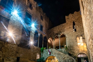 Barcelona: Requesens Palace Tour and Medieval Show