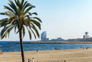 Barcelona: Sagrada Familia & City Sights Bike or E-Bike Tour