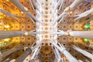 Barcelone : Visite guidée combinée de la Sagrada Família et du parc Güell