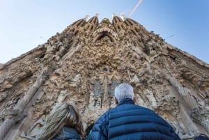 Barcelone : Visite guidée combinée de la Sagrada Família et du parc Güell