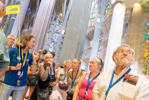 Barcelone : Visite guidée combinée de la Sagrada Família et du parc Güell