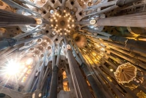 Barcelone : Visite guidée combinée de la Sagrada Família et du parc Güell