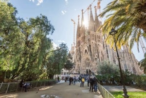 Barcelone : Visite guidée combinée de la Sagrada Família et du parc Güell