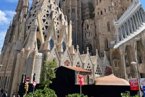 Barcellona: Tour guidato della Sagrada Família e del Parco Güell