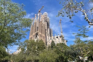 Barcellona: Tour guidato della Sagrada Família e del Parco Güell