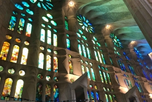 Barcelona: tour por los puntos destacados de la Sagrada Familia y el parque Güell