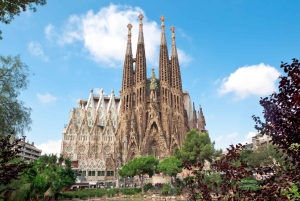 Barcelona: tour por los puntos destacados de la Sagrada Familia y el parque Güell