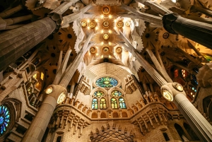 Barcelona: tour por los puntos destacados de la Sagrada Familia y el parque Güell