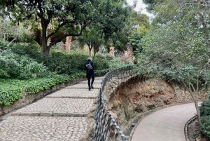 Barcelona: tour por los puntos destacados de la Sagrada Familia y el parque Güell