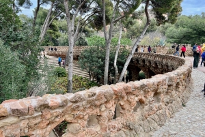 Barcelona: tour por los puntos destacados de la Sagrada Familia y el parque Güell