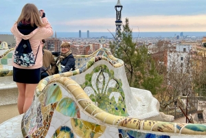 Barcelona: tour por los puntos destacados de la Sagrada Familia y el parque Güell