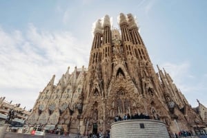 Barcelona: Kvällstur till Sagrada Familia med Cava