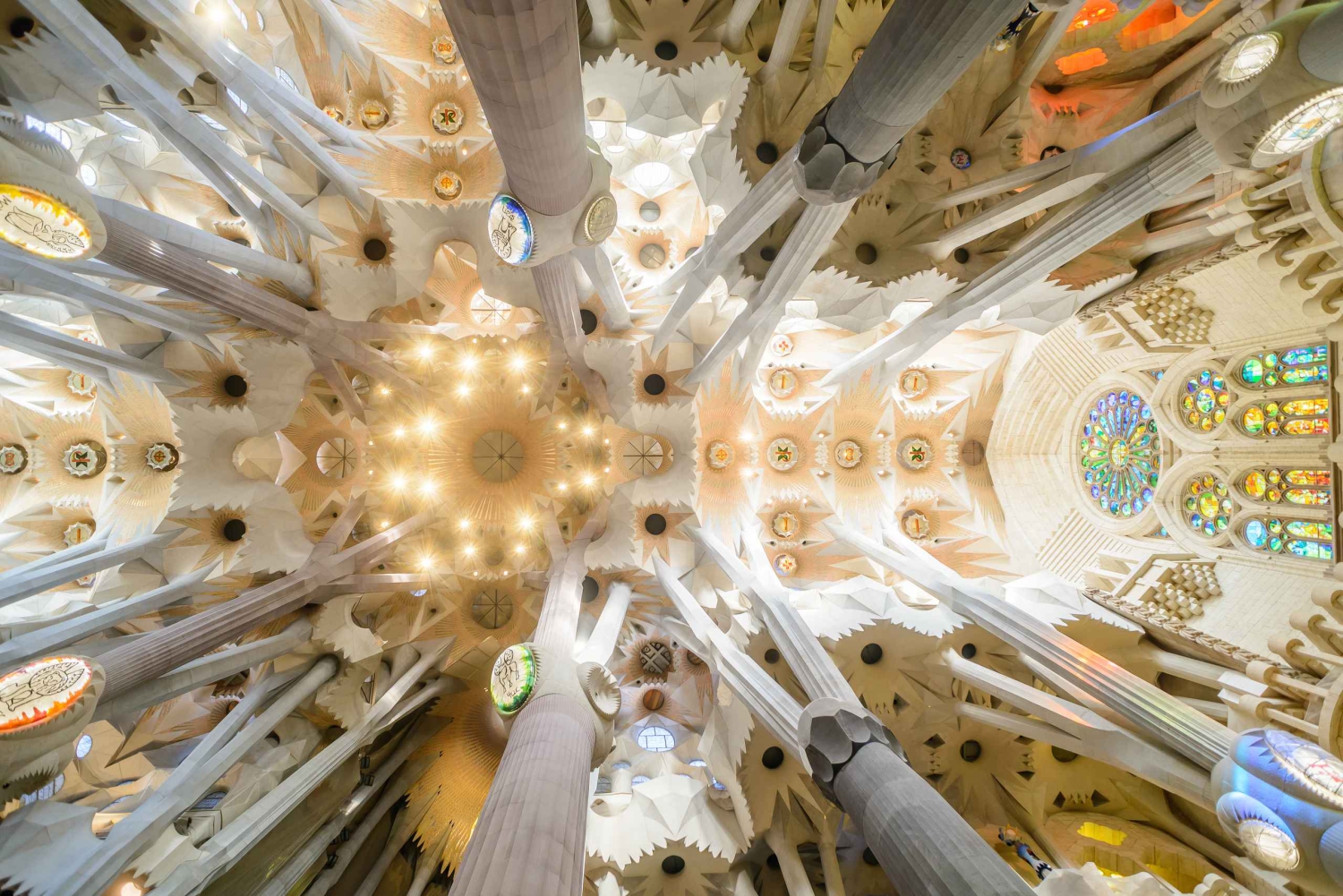 Barcelone : Visite guidée accélérée de la Sagrada Familia