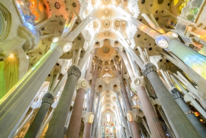 Barcelone : Visite guidée accélérée de la Sagrada Familia