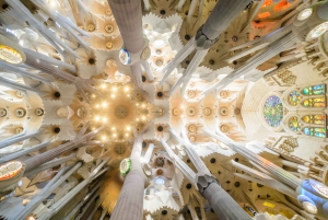 Barcelone : Visite guidée accélérée de la Sagrada Familia