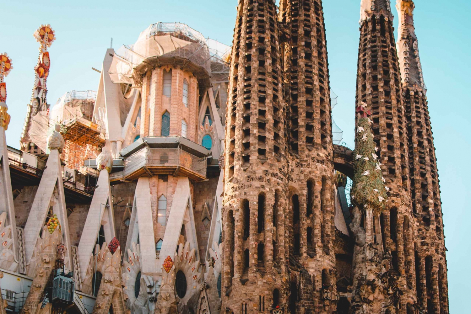 Barcelona: Sagrada Familia Guided Tour in Spanish