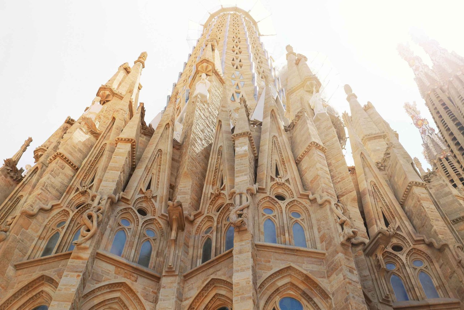 Barcelone : visite guidée de la Sagrada Familia avec billet d'entrée