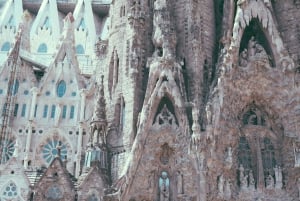 Barcelona: Sagrada Familia Guided Tour with Entry Ticket