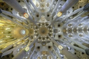 Barcelona: Sagrada Familia Guided Tour with Entry Ticket