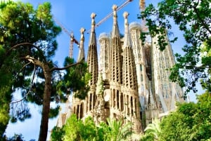 Barcelona: Sagrada Familia Guided Tour with Express Entry