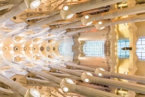 Barcelona: Sagrada Familia Guided Tour with Express Entry