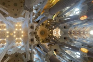 Barcelona: Sagrada Familia Guided Tour with Express Entry