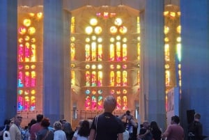 Barcelona: Sagrada Familia Guided Tour with Express Entry