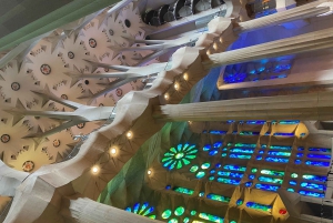Barcelona: Sagrada Familia Guided Tour with Express Entry