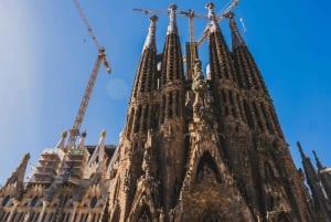 Barcelona: Guidad tur i Sagrada Familia med biljetter